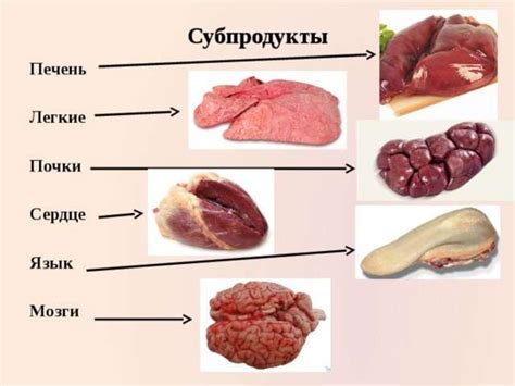 Правильная обработка и удаление костей