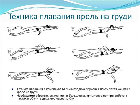 Правильная техника плавания кролем