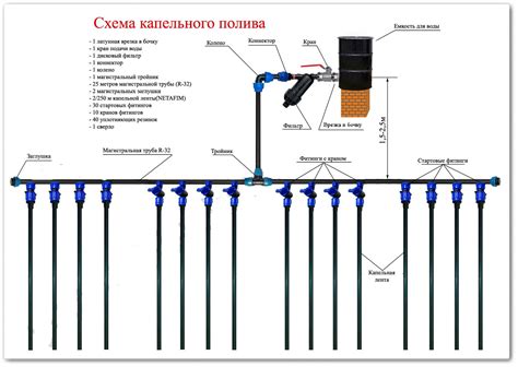 Правильная установка системы капельного полива