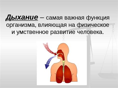 Правильное дыхание и контроль тела