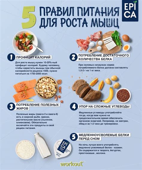 Правильное питание для роста тела