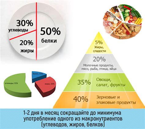 Правильное питание для снижения жира внутри бедер