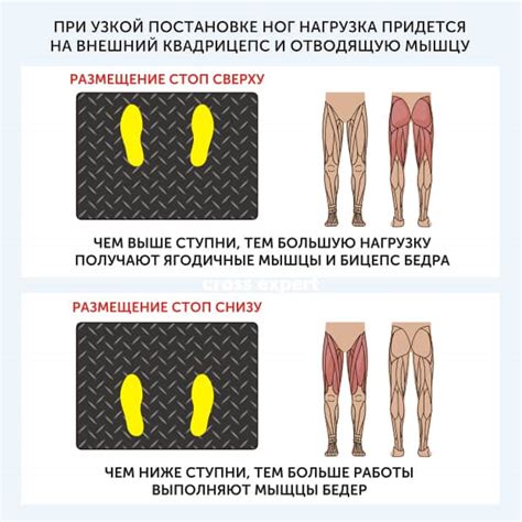 Правильное положение тела при жиме в домашних условиях