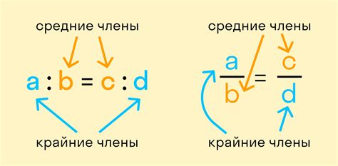 Правильные пропорции