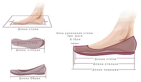 Правильный выбор размера и модели кроссовок