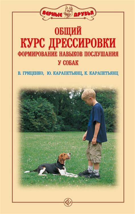 Практикуйте для поддержания навыков дрессировки льва