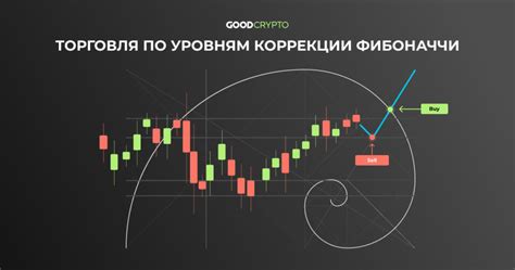 Практические примеры успешной коррекции по Фибоначчи