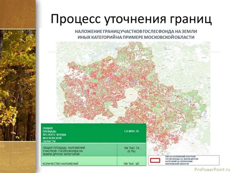 Практические шаги по увеличению участка с использованием земель лесного фонда