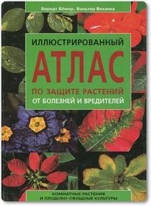 Предотвращение болезней и вредителей розовых ростков