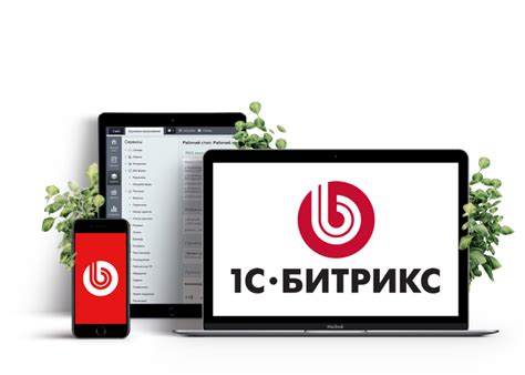 Преимущества интеграции Битрикс и 1С