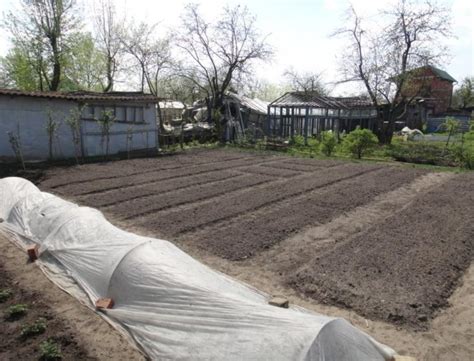 Преимущества использования биогумуса на даче