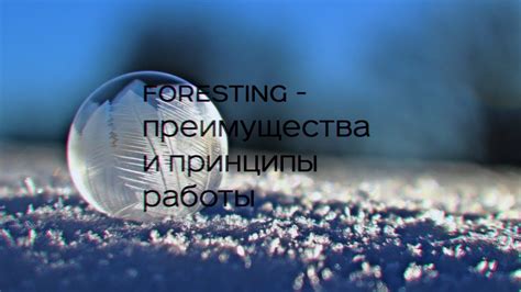 Преимущества и принципы работы Ворлд Аксесс