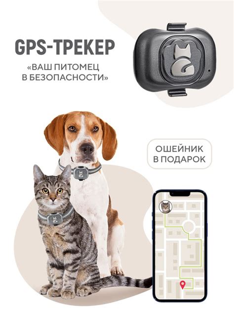 Преимущества покупки GPS трекера для собак на AliExpress