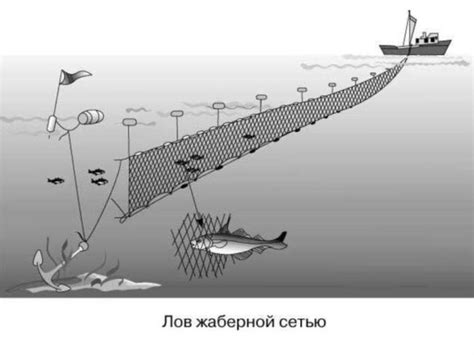 Преимущества сети рыболовной с кормушкой