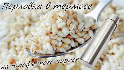 Приготовление перловки для карася