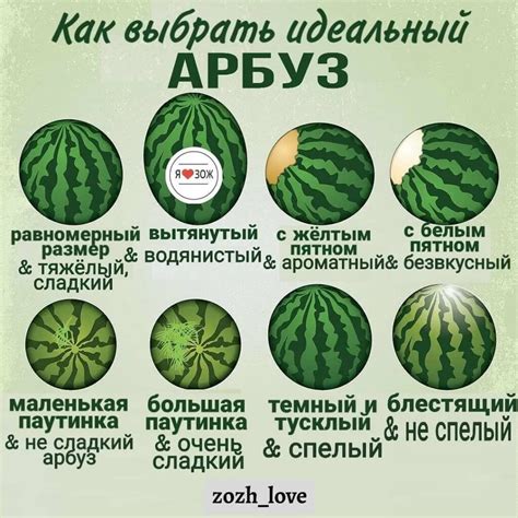 Признаки красного арбуза