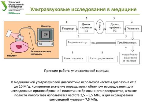 Применение генератора ультразвука в различных областях