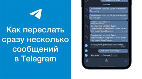 Применение исчезающих сообщений в Telegram