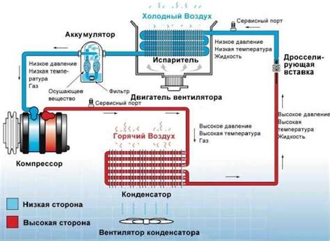 Применение кондиционера: верный шаг к мягкости