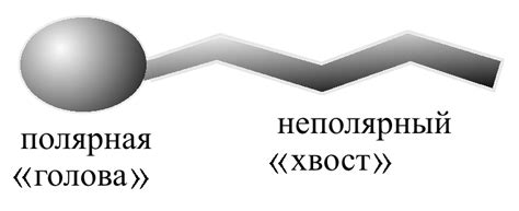 Применение поверхностно-активных веществ