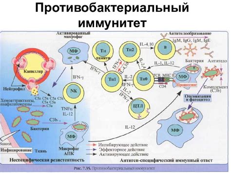 Применение ремантадина при вирусных инфекциях