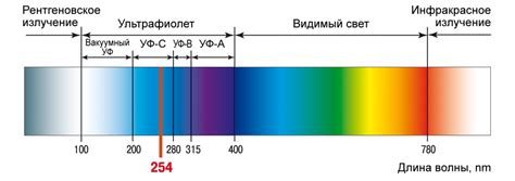 Применение ультрафиолетового фонаря