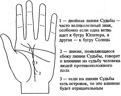 Примеры анализа линии судьбы