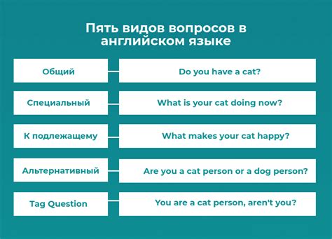 Примеры правильного составления вопросов с хвостиками