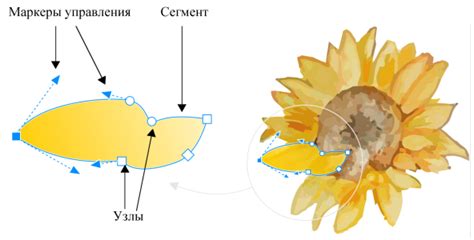 Примеры соединения кривых в CorelDRAW