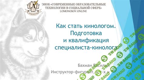 Принципы работы кинолога