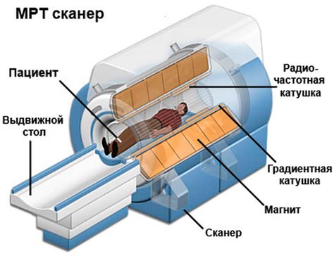 Принципы работы магнитно-резонансной томографии