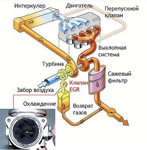 Принципы работы мочевины в дизельных двигателях