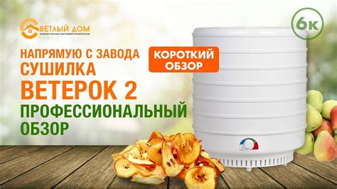 Принцип и функциональность сушилки Ветерок 2