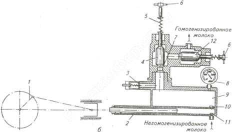 Принцип работы гомогенизатора для молока