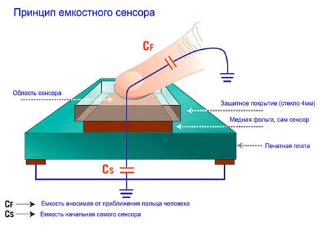 Принцип работы калиброванного сенсора скалки