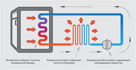 Принцип работы компрессора в холодильнике "Бирюса"