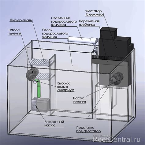 Принцип работы нагревателя для аквариума