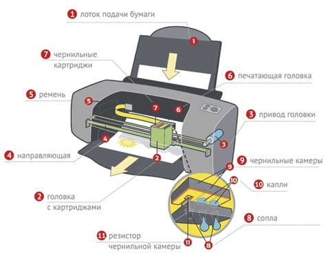 Принцип работы струйных принтеров Canon и особенности печати