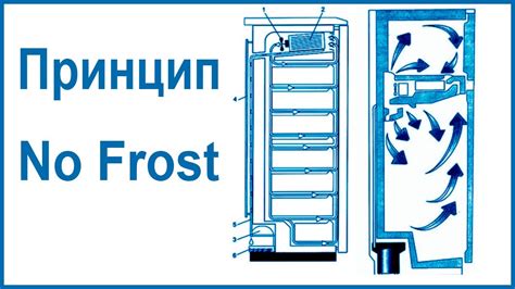 Принцип работы холодильника No Frost