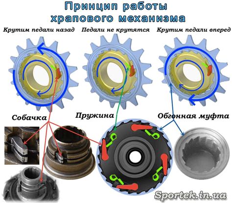 Принцип работы храпового механизма