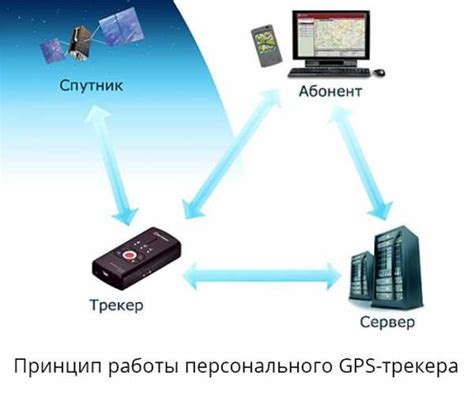 Принцип работы GPS-ошейника