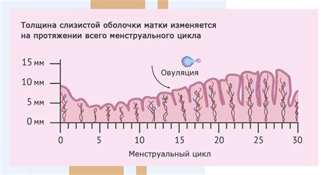 Причины загрязнения эндометрия