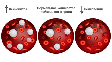 Причины и последствия загрязнения крови