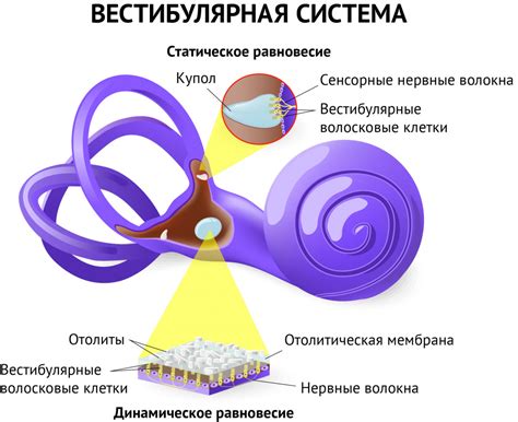 Причины и симптомы тошноты