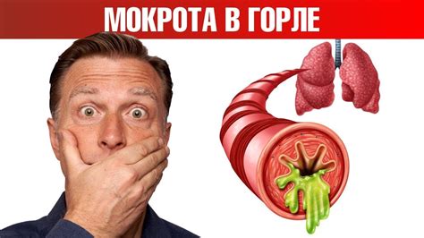 Причины появления слизи в горле