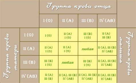 Проверенные способы для узнания совместимости для зачатия