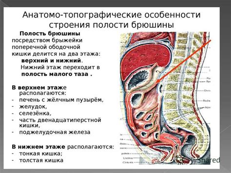 Проверка карманов и сумок