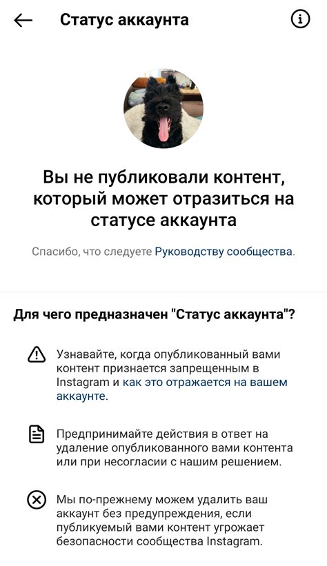 Проверка профиля в Instagram