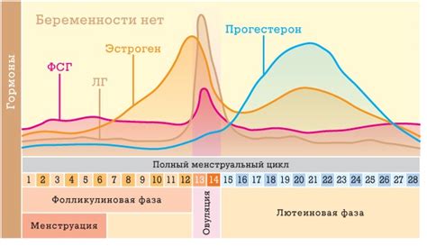 Продолжительность и задержка