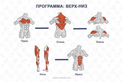 Проектирование зоны тренировок